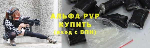 сатива Лабытнанги