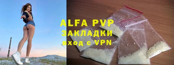 сатива Лабытнанги
