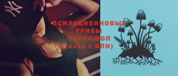 первитин Лагань