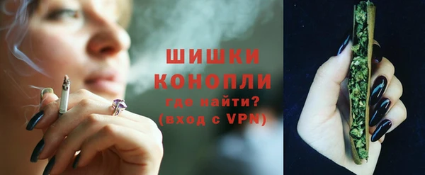 сатива Лабытнанги