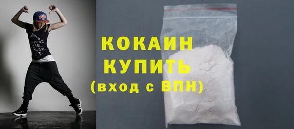 сатива Лабытнанги