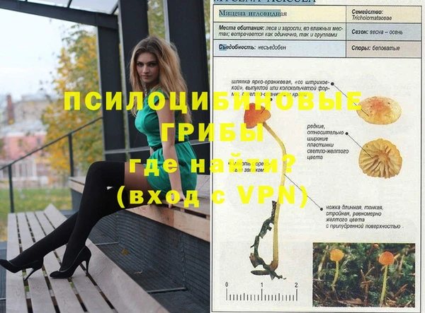 первитин Лагань