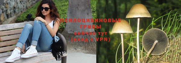 сатива Лабытнанги