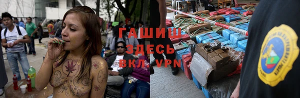 сатива Лабытнанги