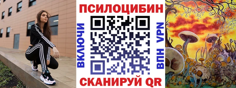 Купить где Кодинск Галлюциногенные грибы GOLDEN TEACHER